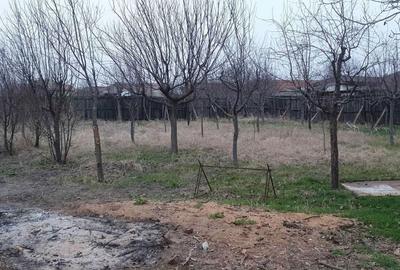 Casă cu 3 camere în Central - 2