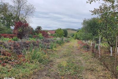 Teren de 1200 mp, în Goranu - 3