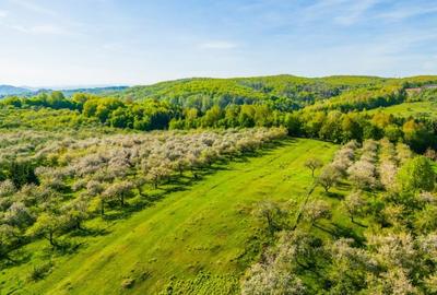 Teren 500 mp intravilan Campina – premium, pozitie panoramica, deschidere 19m - 1