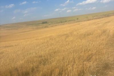 Teren de 500 mp, în Malu Mare - 3