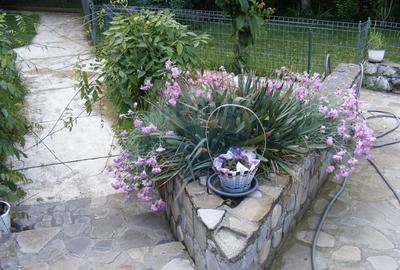 Vanzare vila cu D+P+Et +M, intravilan 1670 mp, Saftica - 22