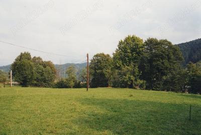 Teren de 7000 mp, în Lunca