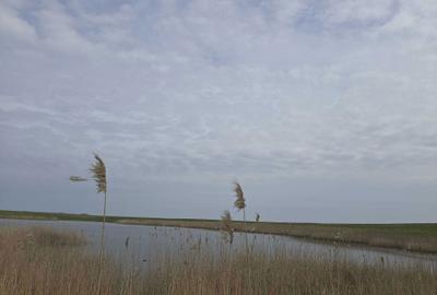 Spațiu comercial, în Crunți - 1