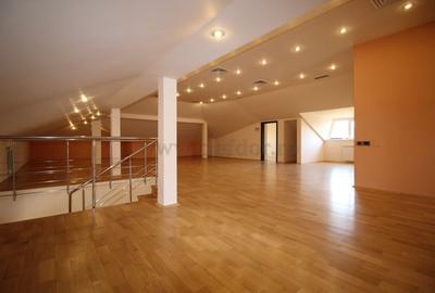 Vila Individuala de Inchiriat in Zona Iancu Nicolae - 11