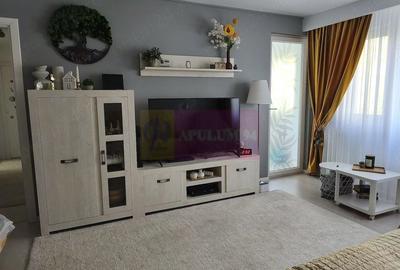 Apartament cu 3 camere semidecomandat în Camil Ressu - 1