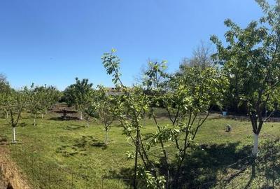 Casă cu 4 camere în Frumușani - 6