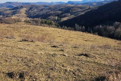 Spațiu comercial, în Central