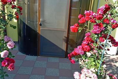 Casă cu Teren 800 Mp în Central - 6