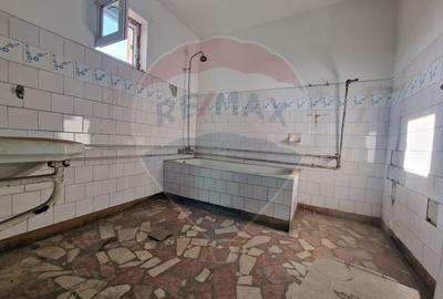 Casa de vanzare P+1 Mihail Kogalniceanu teren 524 mp Jud Constanta - 8