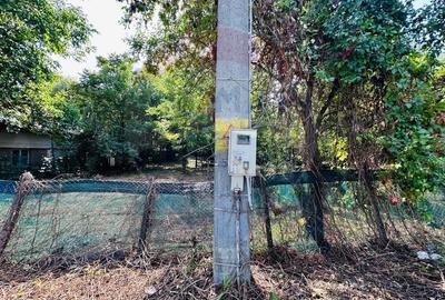 Teren intravilan 1500mp in Livedea, Ialomita - 3