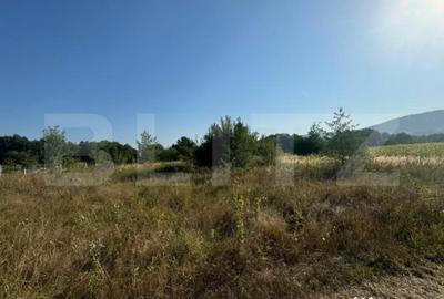 Teren de 4000 mp, în Central