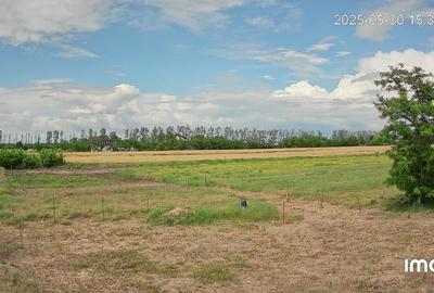 Loc de casa - Snagov - teren intravilan - 4