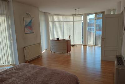 Casă individuală cu 5 camere cu Teren 8850 Mp în Central - 11