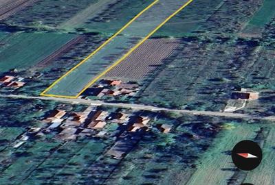 Teren de 10000 mp, în Unguriu - 2