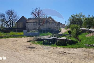 Teren de 980 mp, în Părău - 5