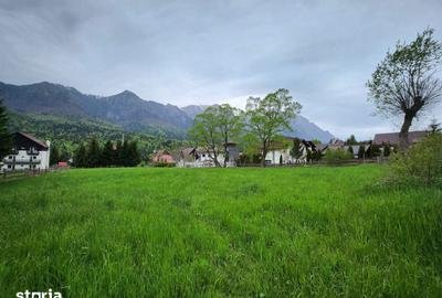 Teren de 2675 mp, în Poiana Țapului - 6