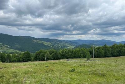 Teren de 15000 mp, în Bubești - 1