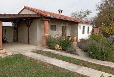 Casă cu 2 camere în Vaida - 4