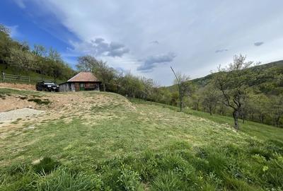 Casă cu 2 camere în Bătrâna - 6