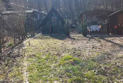 Teren Construcții intravilan de 1050 mp, în Pietrari (Păușești-Măglași) - 15