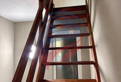 Vila cu 6camere de vanzare in Carcea/Dolj - 9