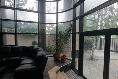 Casă individuală cu 8 camere cu Teren 355 Mp în Colentina - 10