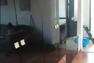 Vand apartament 3 camere - 2