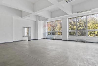 Spațiu comercial, de 4,602 mp, în Ultracentral - 12