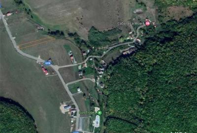Teren de 2000 mp, în Sălicea - 2