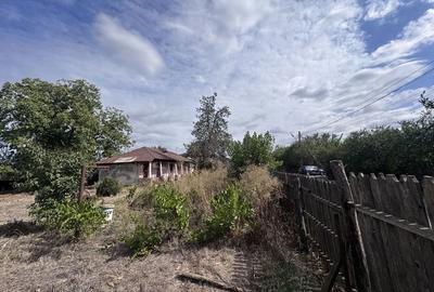 Casă cu 4 camere în Copaciu