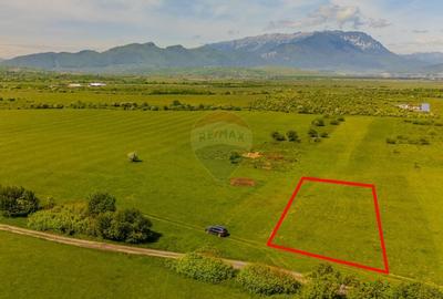 Teren 862mp Rasnov/Intravilan - 3
