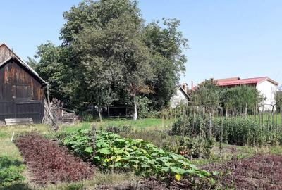 Casa 3 camere, teren 3625 mp, toate utilitatile, Sacele, Brasov - 8