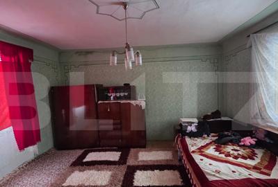 Casa cu teren 32 ari Viile Tecii, la 30 km de Bistri?a - 4