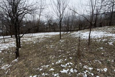 Teren 4652 mp cu izvor pe el, Lunca Mare, lângă păstrăvăria Doftana - 7