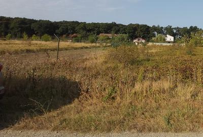 Vanzare 1875 mp teren Snagov, langa padure, zona superba, toate utilitatile - 3