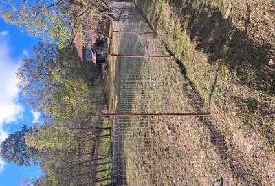 Casa batraneasca - 1