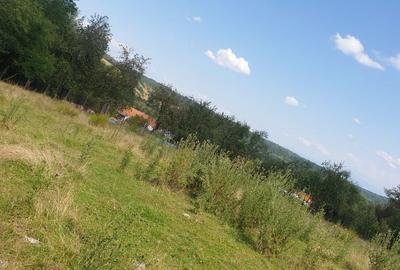 Spațiu comercial, în Ezeriș - 5