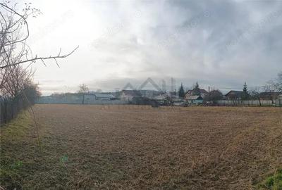 Teren de 3500 mp, în Păun - 5