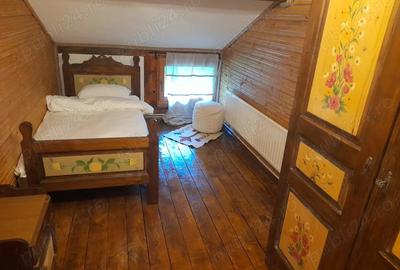 Casă cu 13 camere cu Teren 5000 Mp în Măguri - 5