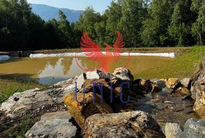 18000 mp de natura pura ,Lupeni, langa Straja 18000 mp de natura pura ,Lupeni, langa Straja - 14