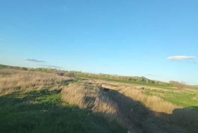 Teren de 5000 mp, în Drânceni - 7