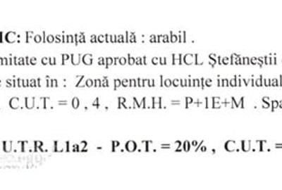 Teren agricol intravilan de 25000 mp, în Ștefăneștii de Jos - 4
