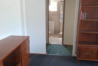 Apartament 2 camere de vanzare, zona Stadion - 10