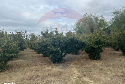 Spațiu comercial, în Câmpineanca - 4