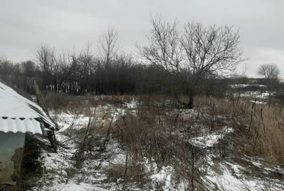 Vand casa batraneasca - 5