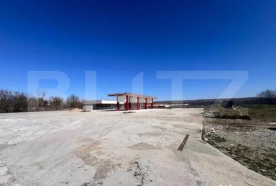 Teren de 12500 mp, în Ișalnița - 1