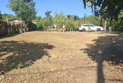 Casă cu 3 camere în Central - 5