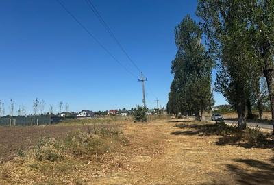 Teren intravilan 550 mp – la șosea principală, utilități la limita proprietatii - 5