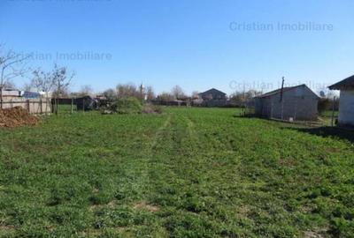 Teren constructii zona Lacu Sarat, suprafata 3393 mp, 22 eu - 3