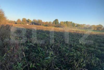 Casă cu 2 camere cu Teren 1500 Mp în Central - 3